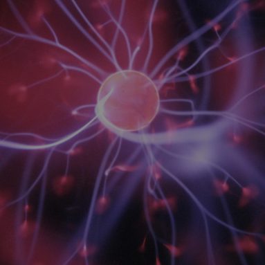 How To Take Noopept Powder Or Pills Sublingually